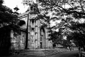 IIP Online Student Photography