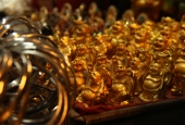 IIP Online Student Photography