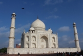 IIP Online Student Photography