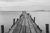 IIP Online Student Photography