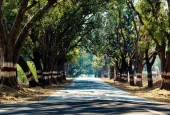 IIP Online Student Photography