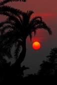 IIP Online Student Photography