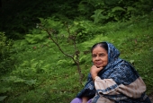 IIP Online Student Photography
