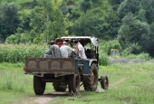 IIP Online Student Photography
