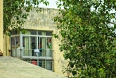 IIP Online Student Photography