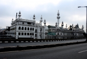 IIP Online Student Photography