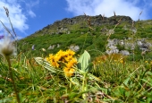 IIP Online Student Photography