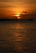 IIP Online Student Photography