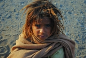 IIP Online Student Photography