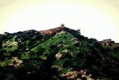 IIP Online Student Photography