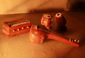 IIP Online Student Photography