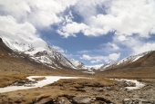 IIP Online Student Photography