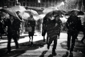 IIP Online Student Photography