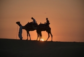 IIP Online Student Photography