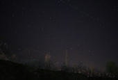 IIP Online Student Photography