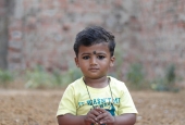 IIP Online Student Photography