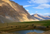 IIP Online Student Photography