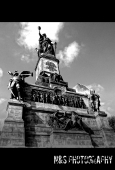 IIP Online Student Photography