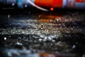 IIP Online Student Photography