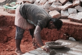 IIP Online Student Photography