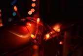 IIP Online Student Photography