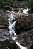 IIP Online Student Photography