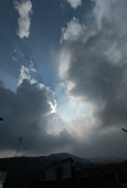 IIP Online Student Photography