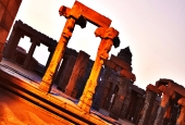 IIP Online Student Photography
