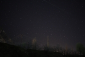 IIP Online Student Photography