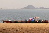 IIP Online Student Photography