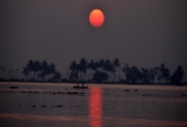 IIP Online Student Photography