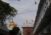 IIP Online Student Photography