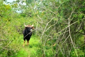 IIP Online Student Photography