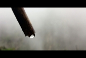 IIP Online Student Photography