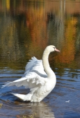 IIP Online Student Photography