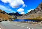 IIP Online Student Photography