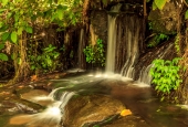 IIP Online Student Photography