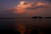 IIP Online Student Photography