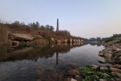 IIP Online Student Photography