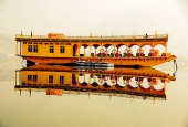 IIP Online Student Photography