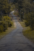 IIP Online Student Photography