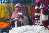 IIP Online Student Photography