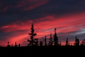 IIP Online Student Photography