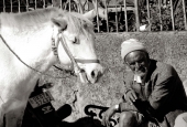 IIP Online Student Photography