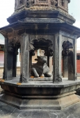 IIP Online Student Photography