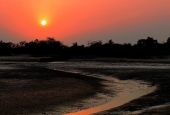 IIP Online Student Photography