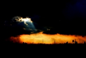 IIP Online Student Photography