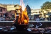 IIP Online Student Photography