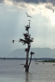 IIP Online Student Photography