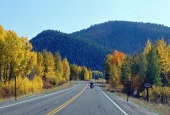 IIP Online Student Photography